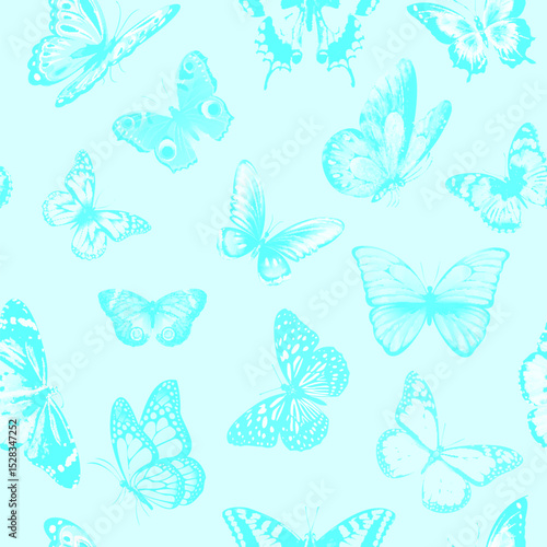 Elegant Butterfly Motif in Serene Hues