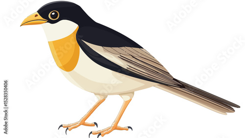 Adorable Myna Bird Vector Illustration Isolated on White Background