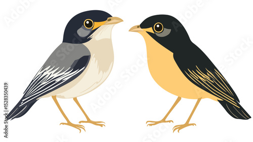 Vibrant Cute Myna Bird Vector Illustration Isolated on White Background