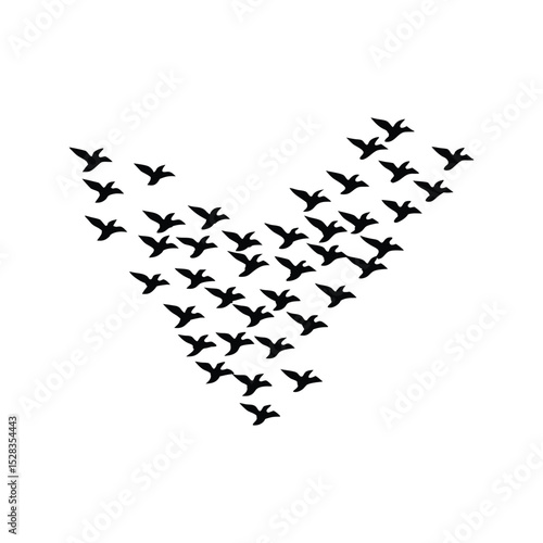flock of birds flying in V form