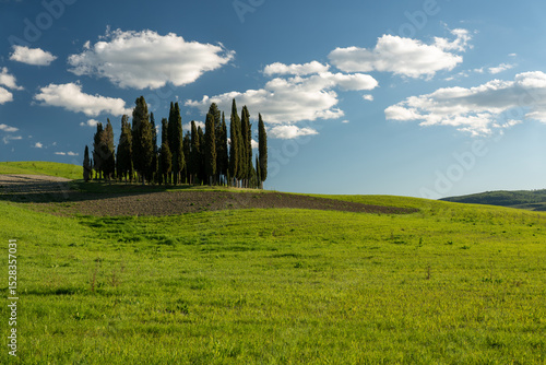 Tuscan Landscape with Cypress Trees