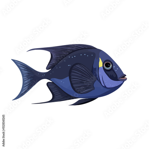 2D flat Blue Tang vector illustration, isolated on a white background.