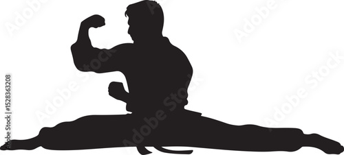 Silhouette of a Martial Artist in a Low Stance