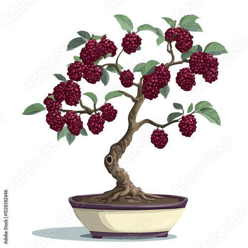 2D flat A Mulberry Bonsai illustration vector, isolated on a white background.