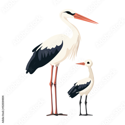 A Mother Stork With Her Kid vector 2D flat illustration, isolated on a white background.