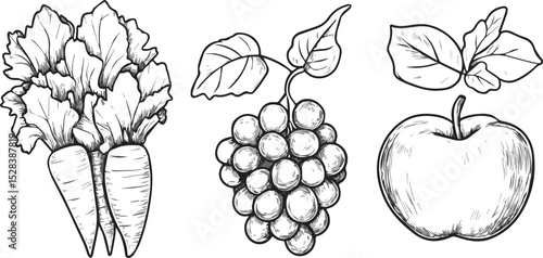 Hand-drawn vector illustration of fruits and vegetables healthy food concept carrots grapes and apple sketch drawing isolated on white background ideal for vegan restaurant menu or grocery store