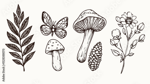 Hand Drawn Forest Elements Vector Set with Mushrooms Butterfly Pine Cone Wildflower and Fern Branch Nature Illustration for Design Prints Posters Cards and Invitations Botany Sketch Drawing Engraving