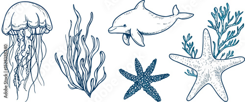 Hand Drawn Vector Illustration of Marine Life Set Jellyfish Dolphin Seaweed Starfish and Algae Ocean Animals Underwater World Wildlife Sea Creatures Nautical Theme Design Element Isolated on White