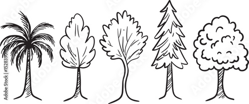 Five hand drawn trees vector illustration set including palm tree deciduous tree pine tree and leafy tree sketch style drawing isolated on white background for nature forest and environment concepts