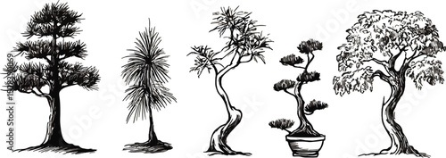 Five hand-drawn trees vector illustration set including bonsai tree sketch art design element black and white line drawing nature plant decoration graphic isolated on white background environment