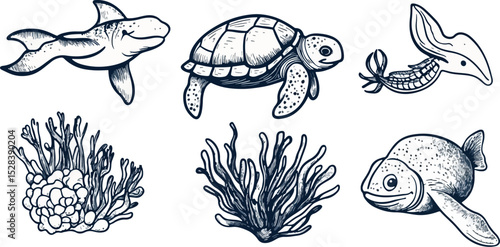 Hand-drawn Vector Illustration Set of Marine Life Shark Turtle Sea Fish Algae Coral Reef Underwater World Ocean Inhabitants Wildlife Nature Conservation Aquatic Animals Doodle Sketch Style Design