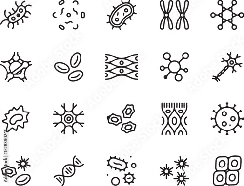 biology, cells, microorganisms, bacteria, virus, neuron, dna, chromosomes, blood cells, anatomy, science, health, medicine, infection, disease, microbiology, vector, outline, doodle, hand-drawn, sketc