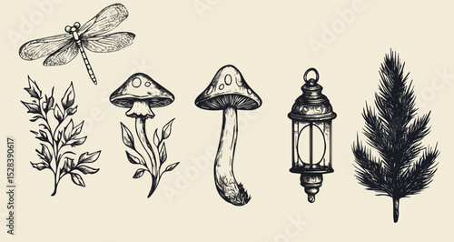 Dragonfly Mushrooms Lantern and Plants Vector Illustration Set Hand Drawn Sketch Style Nature Elements for Tattoo Design or Print Isolated on Light Background Forest Theme Clipart Collection