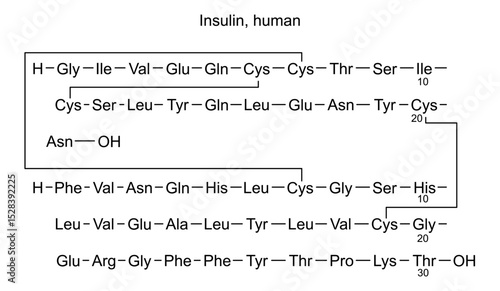Chemical structure of insulin, human, drug substance