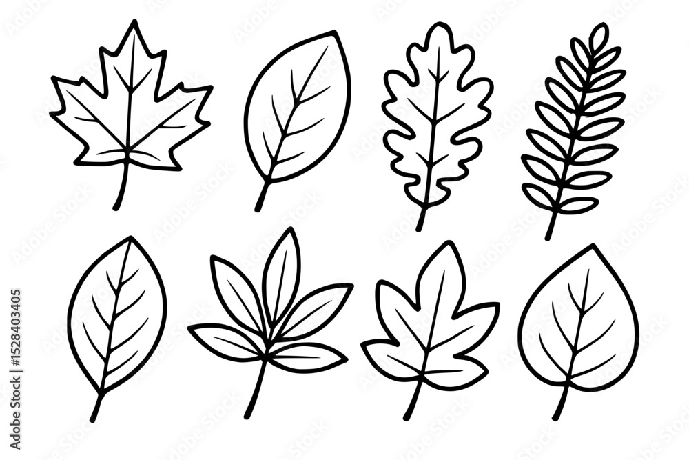 Fototapeta premium set of leaves, maple, beech, oak, fern, cherry, horse chestnut, sweetgum, aspen, illustration, tree, leaf, shaped, vector
