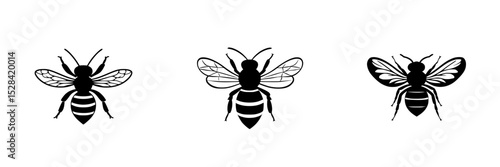 Icon set featuring three distinct bee designs showcasing their unique shapes and wing patterns