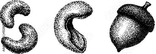 Stippling ink illustration of nuts and seeds with hyper detailed halftone technique