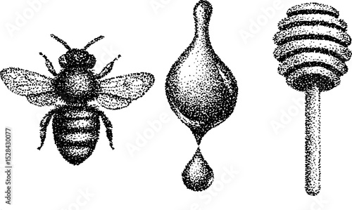 Intricate stippling ink art of bee and honey dripper with halftone details