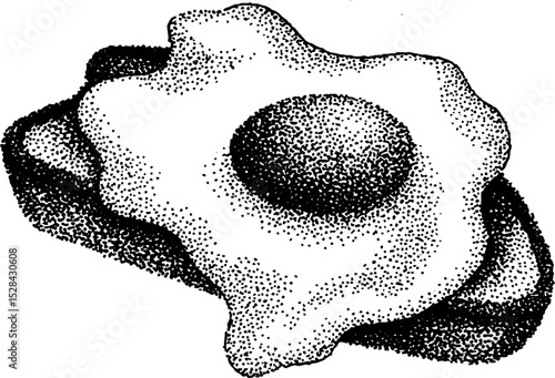 Hyper detailed ink stippling of fried egg on toast