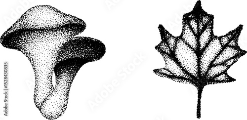 Botanical stippling art: ink halftone mushroom and maple leaf design
