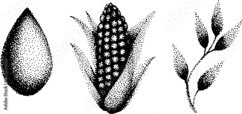 Detailed stippling art of corn, leaf, and water drop in ink halftone style
