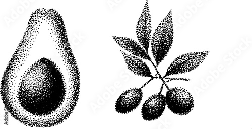 Stippling ink art featuring avocado and olive branch in halftone detail