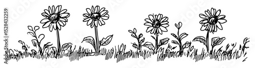 large flowers in garden field vector laser cutting engraving doodle shape