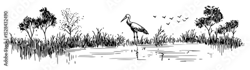 stork in wetland among trees and grass doodle vector sketch