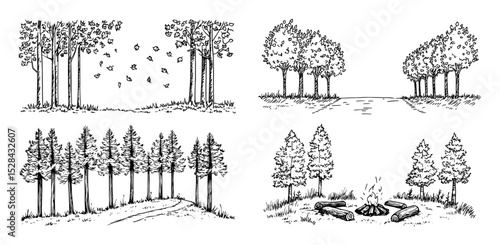 tree forest collection with mixed landscapes doodle vector sketch