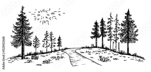 forest road under sun with tall pines doodle vector sketch