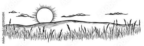 sunset over field with reeds and clouds doodle vector sketch