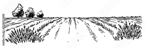 agricultural field with furrows and trees doodle vector sketch