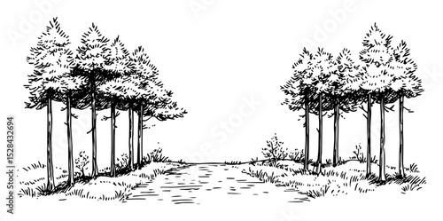 trail through wooded area with clearing doodle vector sketch