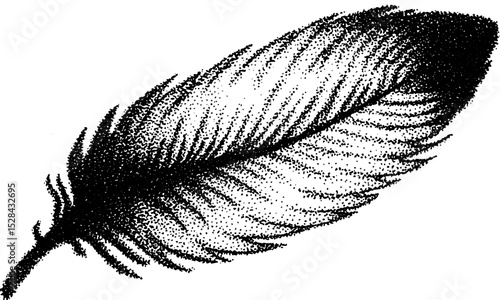 Hyper detailed stippling ink illustration of a feather for artistic design