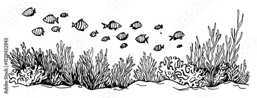 underwater reef scene with tropical fish