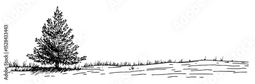 lone tree on wide field with minimal landscape