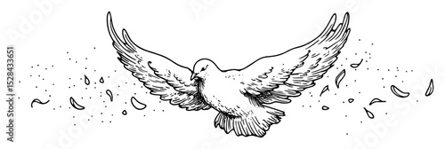 holy spirit dove with open wings and feathers