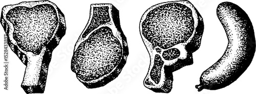 Hyper detailed stippling ink illustration of various meat cuts