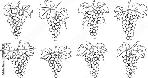 set of black Line Art Grape Bunches with Leaves, Single Line Drawing of Grapes with Leaf, Grapes in continuous line art drawing style,