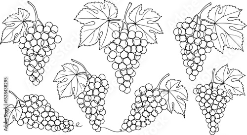 set of black Line Art Grape Bunches with Leaves, Single Line Drawing of Grapes with Leaf, Grapes in continuous line art drawing style,