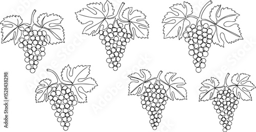 set of black Line Art Grape Bunches with Leaves, Single Line Drawing of Grapes with Leaf, Grapes in continuous line art drawing style,