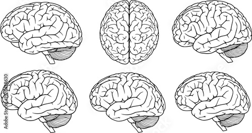 set human brain black vector silhouettes outline coloring book page line art