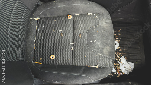 Dirty car backseat with sunflower seed shells, crumbs, and snacks scattered across the upholstery and floor mat, concept of mess, need for cleaning or car detailing