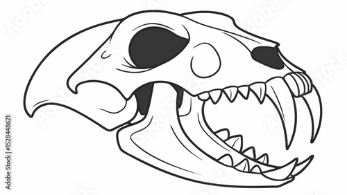 Detailed Black and White Illustration of a Feline Skull