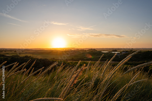 sunset over the field