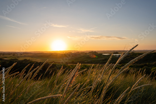 sunset over the field