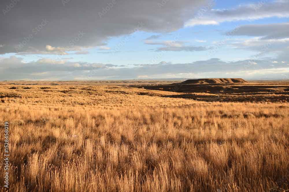 Obraz premium wide open spaces