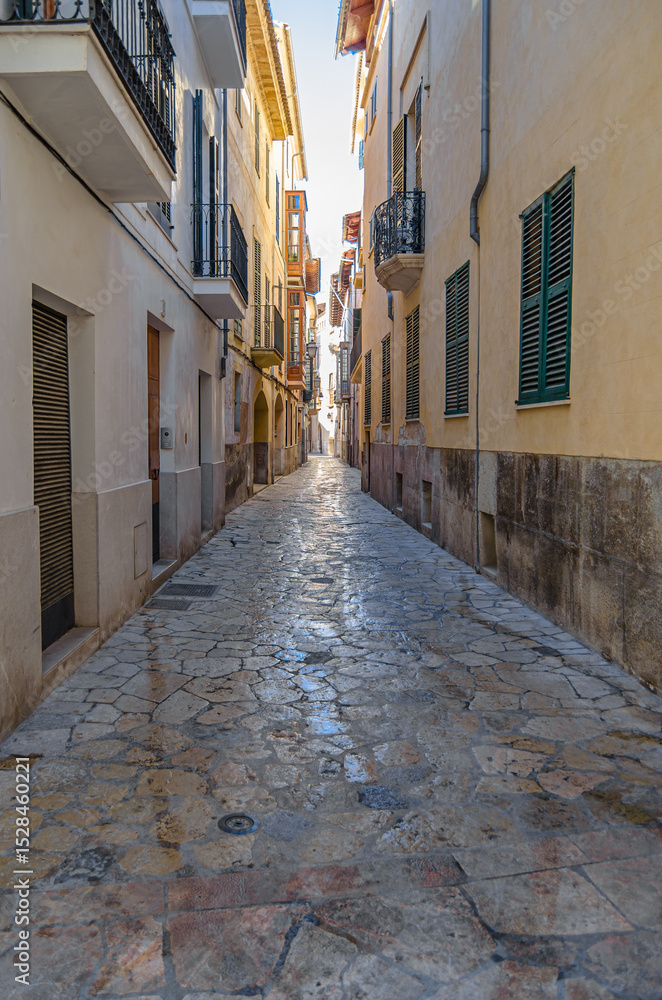 Obraz premium Architecture in Palma, Mallorca island, Spain