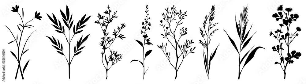 Naklejka premium PNG Silhouette botanical plant illustrations, element set on transparent background