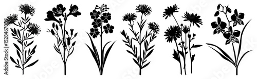PNG Vintage floral silhouette art, element set on transparent background